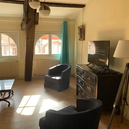 Daire Centre: T2 Bis Dans Immeuble Historique Toulouse