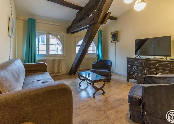 Centre: T2 Bis Dans Immeuble Historique Apartment